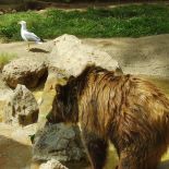 Зоо парк в Рим - Лацио