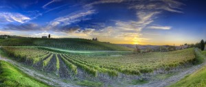 Private tours of Tuscany from Rome