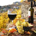 Wine tour in Italy - Rome private guide