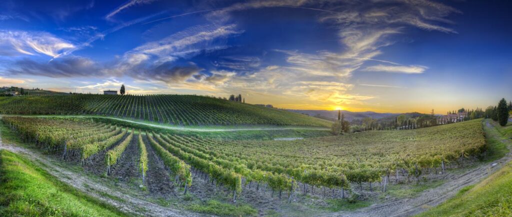 Tuscany private tours with driver guide