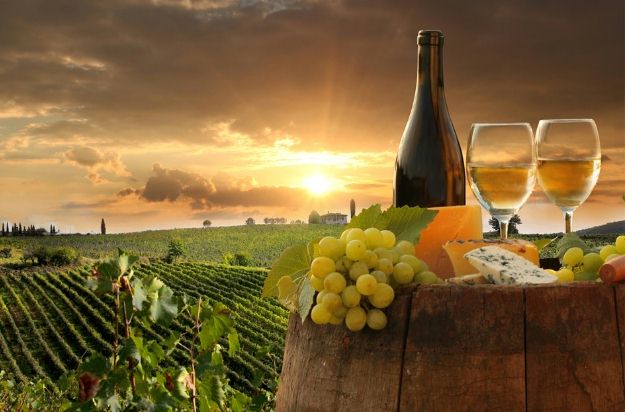 Wine tour of Chianti - Tuscany private tour