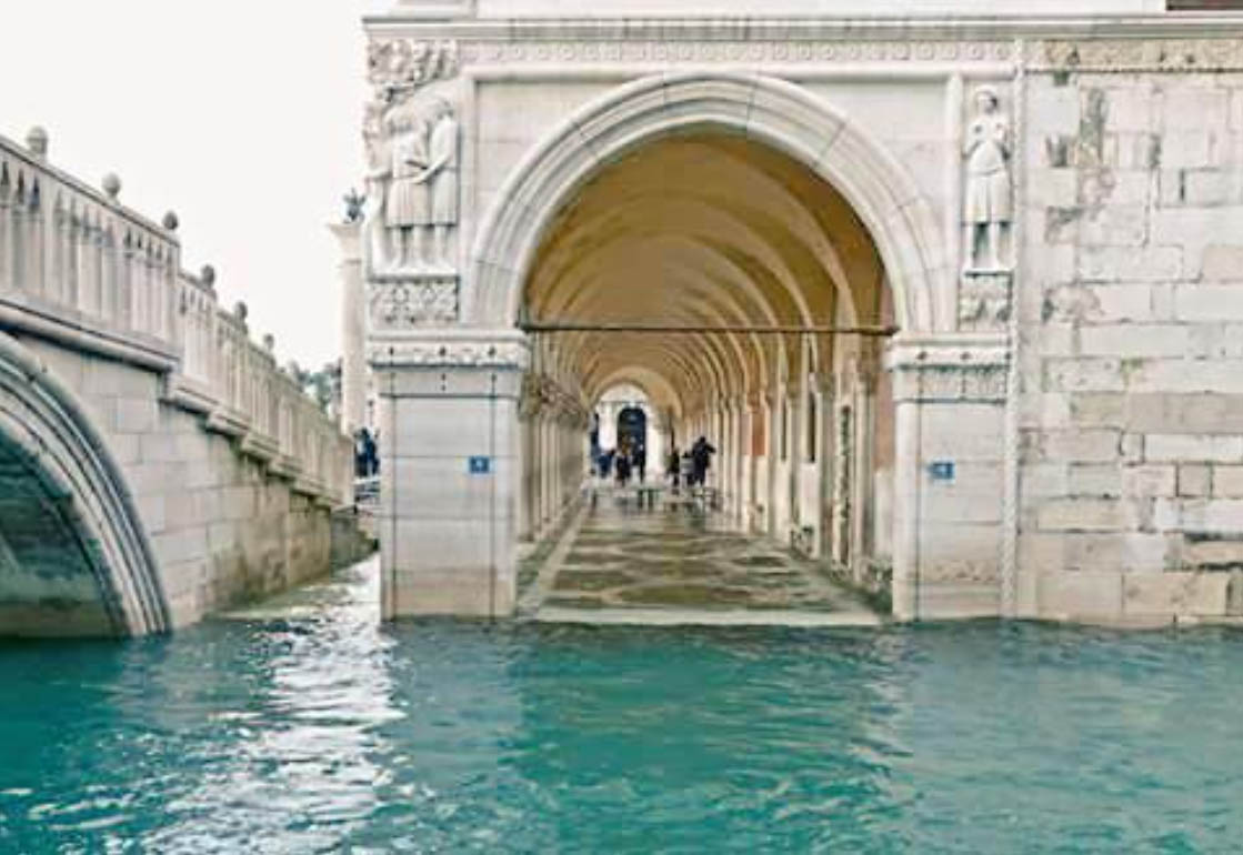 Venice private tour from Rome