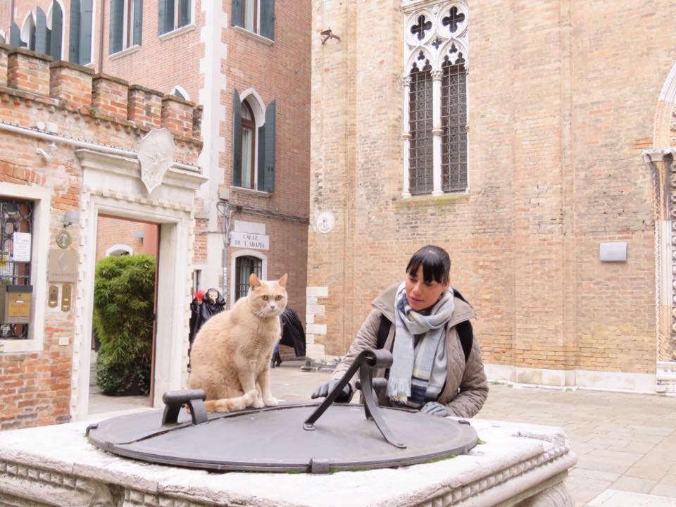 Кошки в Венеции - автомобильные туры по Италии