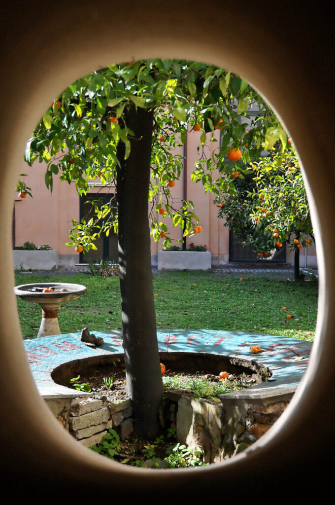 Orange tree in Santa Sabina Basilica - Rome
